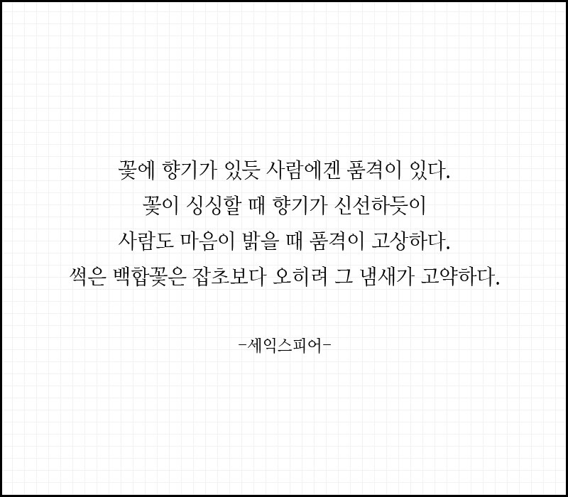 크린시스 이미지