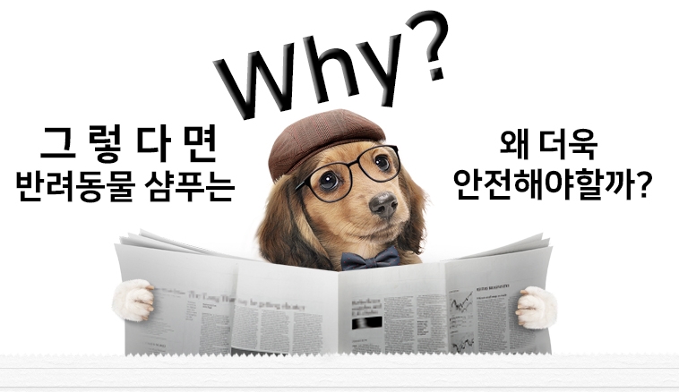 꼬뱅 이미지