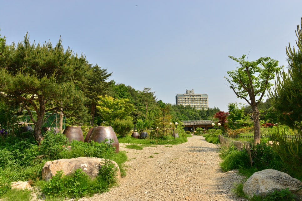 주식회사 더참 이미지
