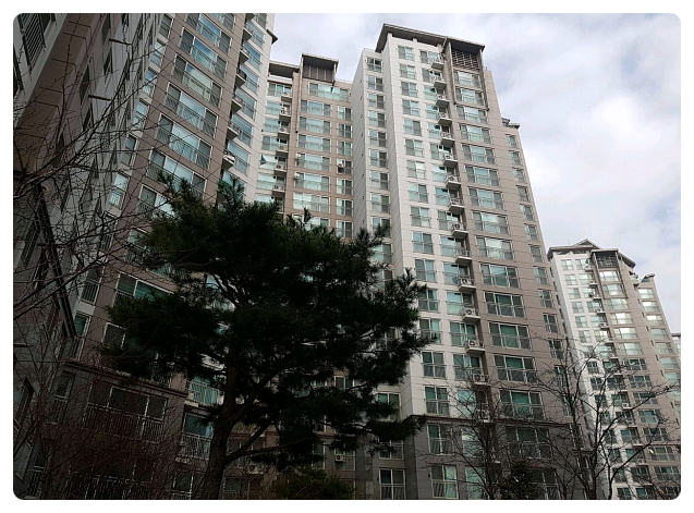 오렌지나무치과의원 이미지