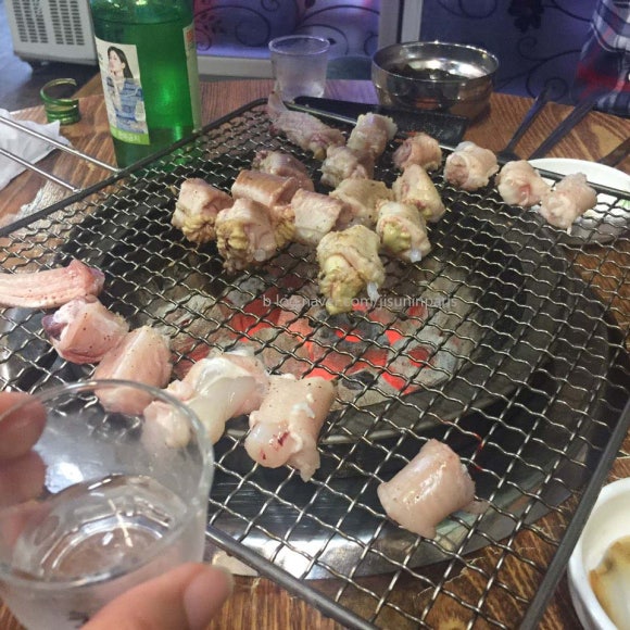 기장새벽왕곰장어 이미지