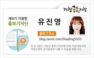 꽃차day 이미지