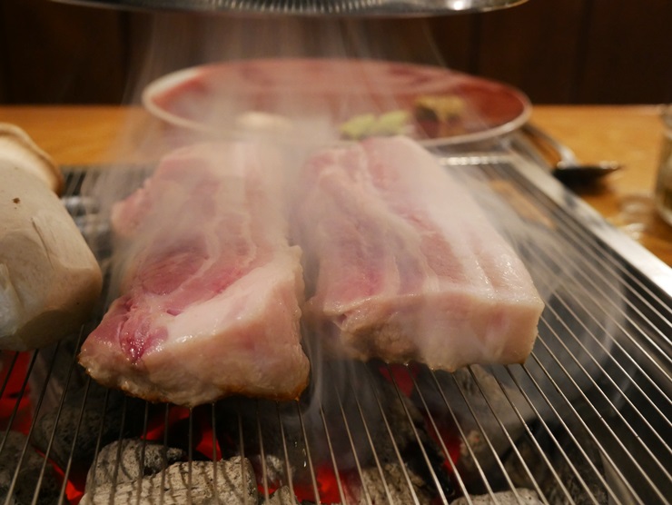 고오기 이미지