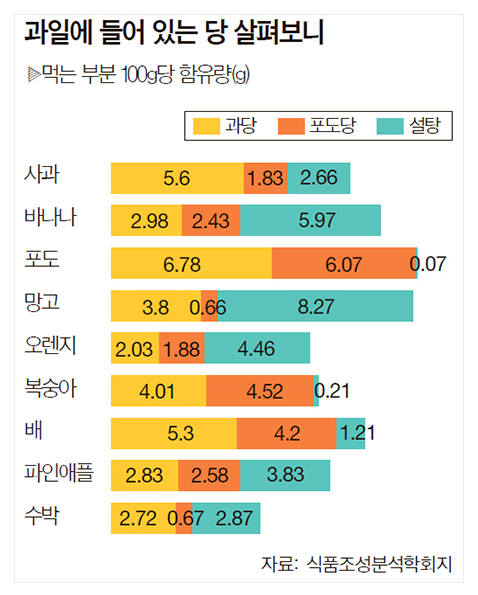 쌍둥이과일 이미지