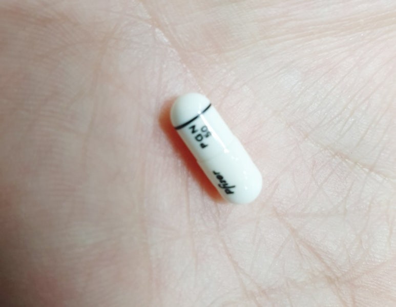 아리랑분식 이미지