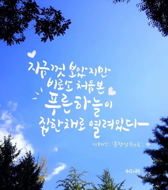 비로소겨울하늘 이미지