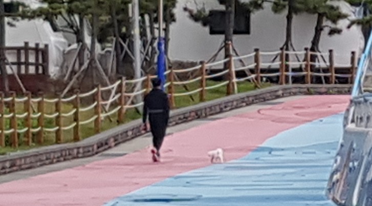 개 목줄 신고방법/ 국번없이 110번 (feat. 증거사진,동영상 확보 우선) : 네이버 블로그 개 목줄 신고방법/ 국번없이 110번 (Feat. 증거사진,동영상 확보 우선) : 네이버 블로그