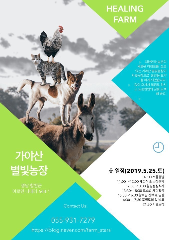 (주)힐링여행사 이미지