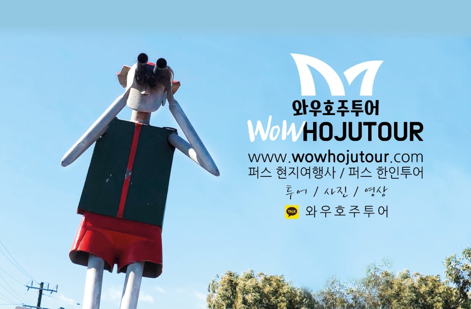 (주)와우여행사 이미지