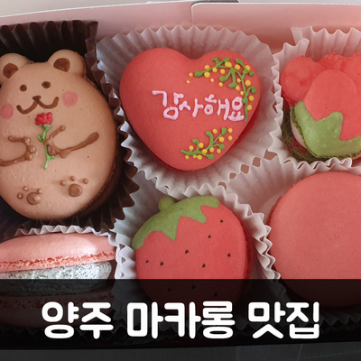 보곤다 이미지