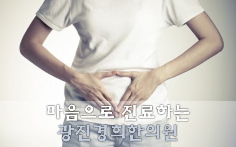 광진기전 이미지