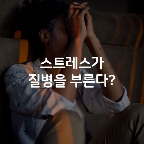 씨에이치상사 이미지
