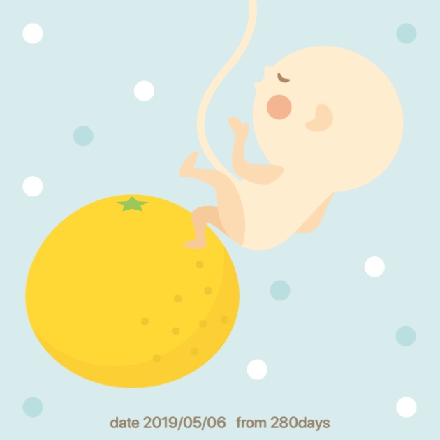 발해중기 이미지