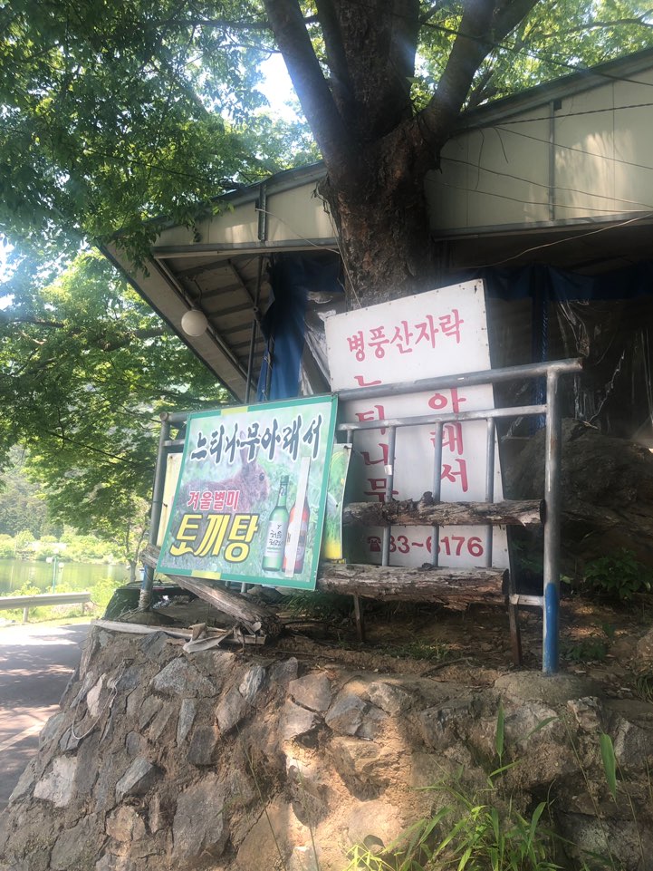 병풍산자락느티나무아래서 이미지