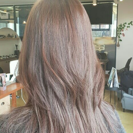 라비에벨헤어 이미지