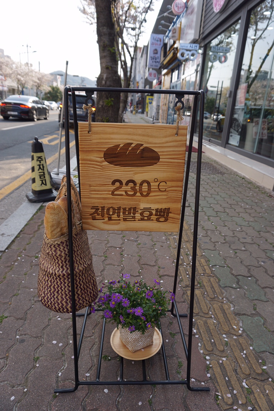 230도씨 이미지