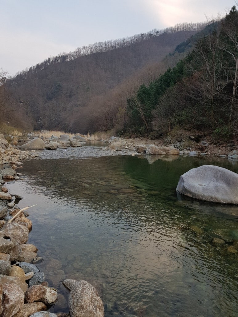 고동골펜션 이미지