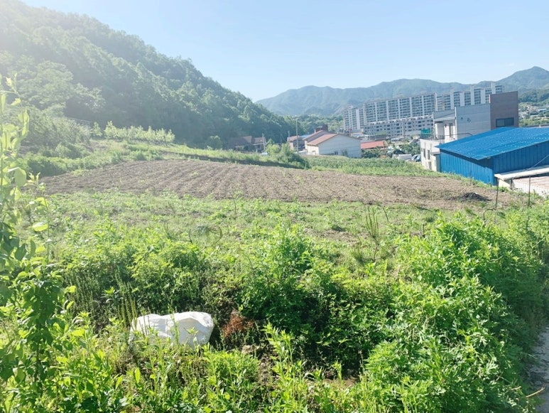 구룡리(진안) 이미지