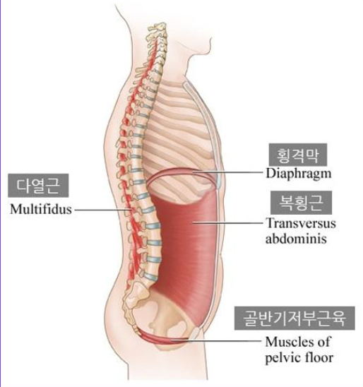 웅Gym 이미지