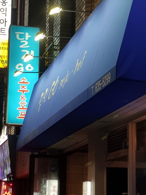 달리호프 이미지