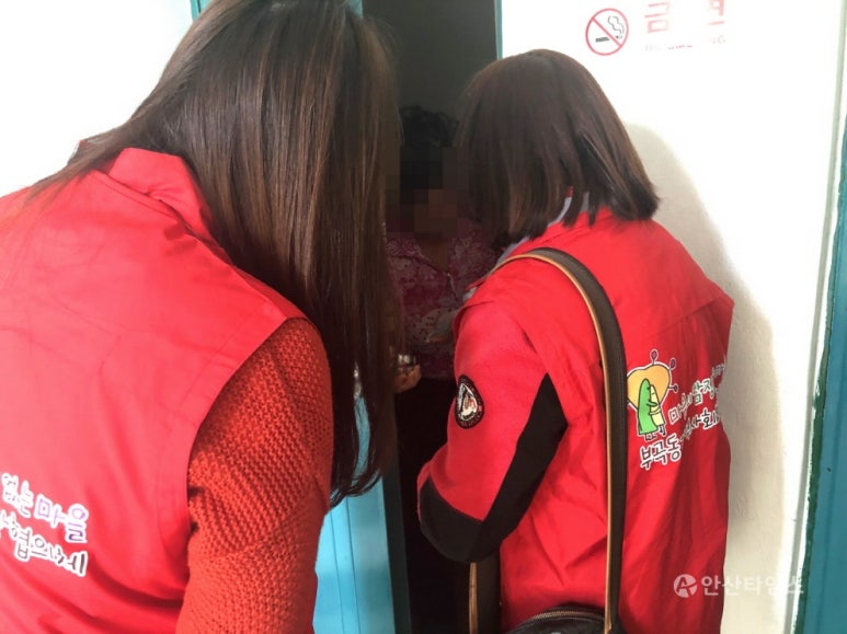 상록녹즙 이미지