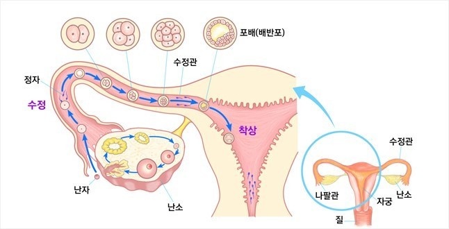 아이사랑산부인과의원 이미지
