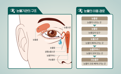 새봄안과 이미지