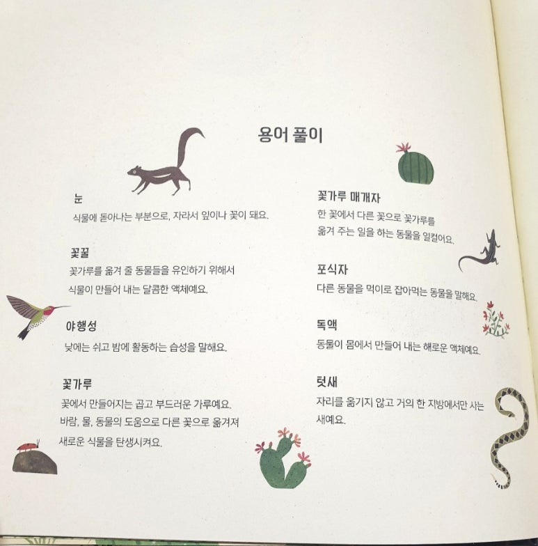 [회원리뷰] 일 년에 하루, 밤에 피는 꽃 - 예스24