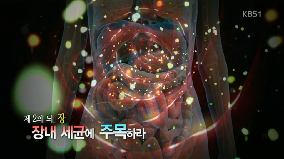 아이밸런스(I-balance) 이미지
