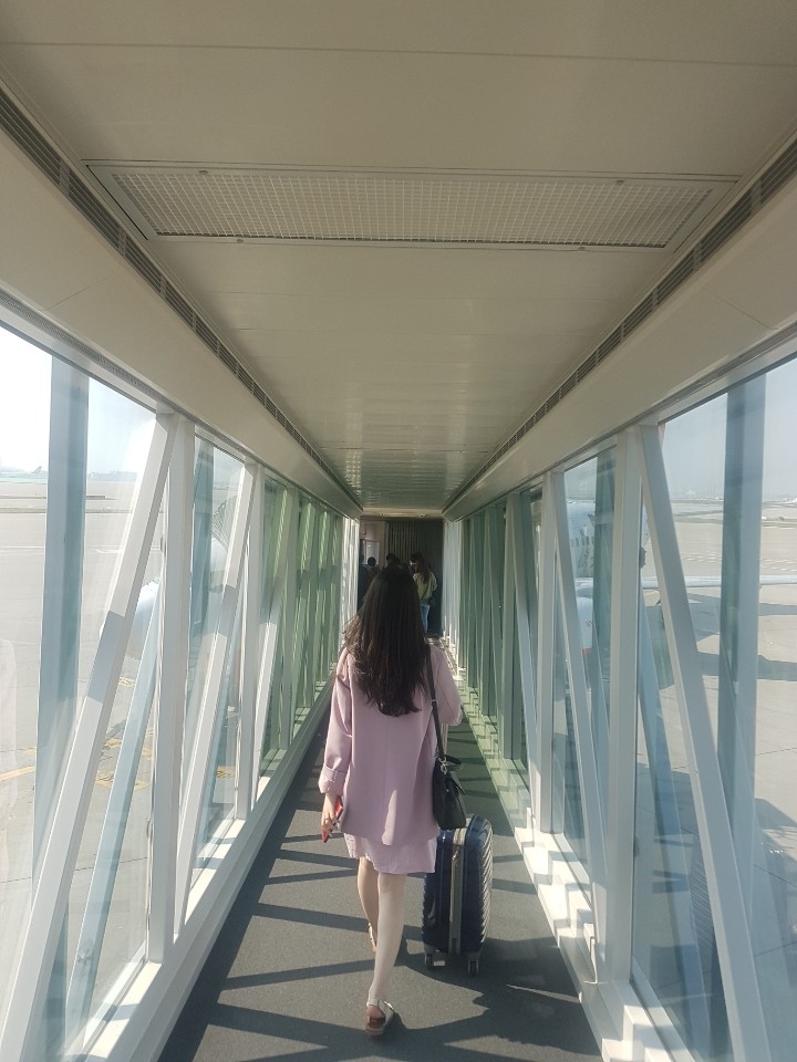 손수코 이미지