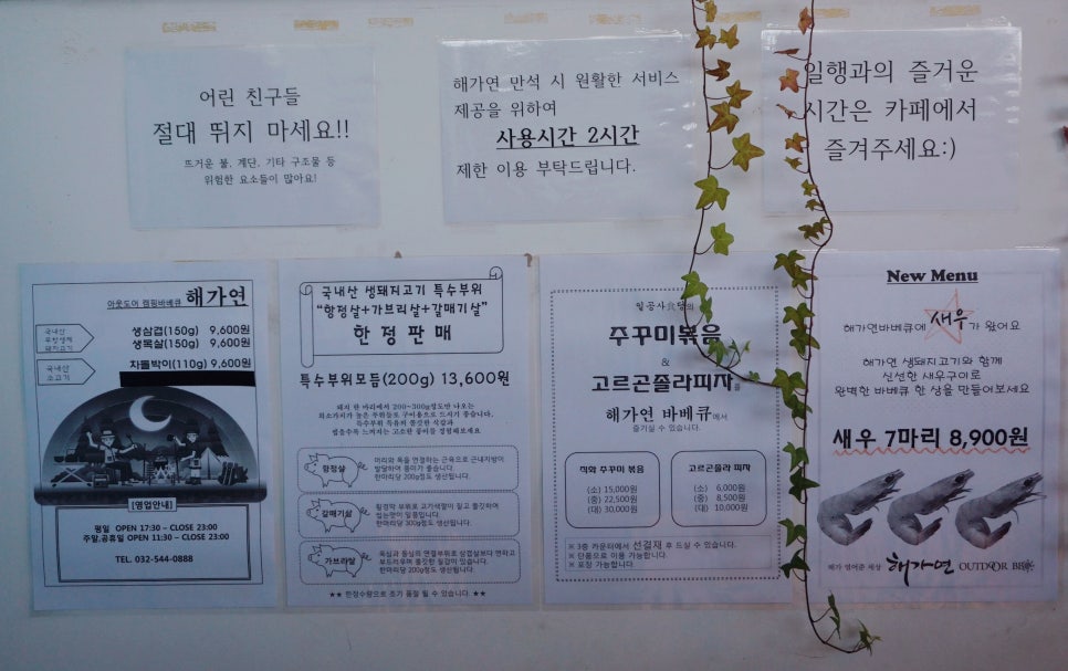 해가연미트 이미지