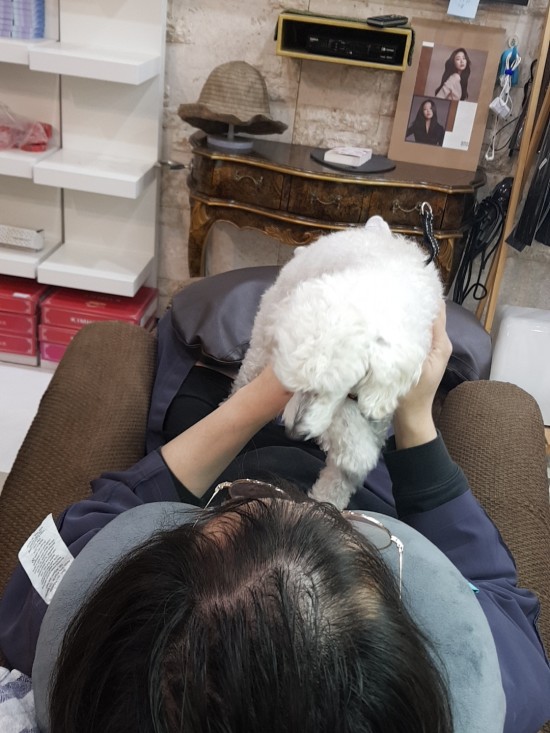 헤어세상 이미지