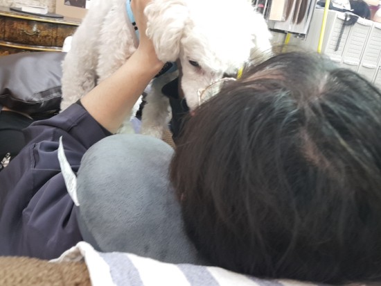 헤어세상 이미지