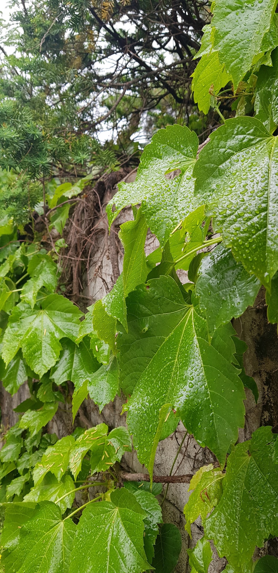 아트인동산 이미지