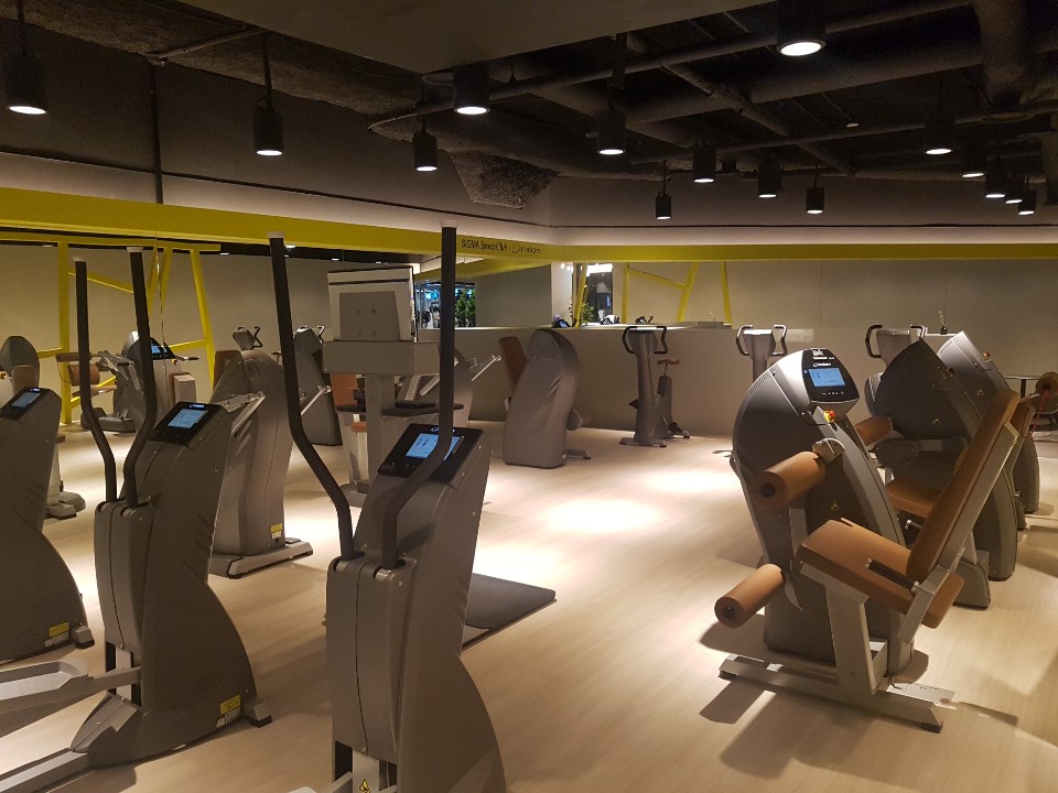 시그마스포츠 이미지
