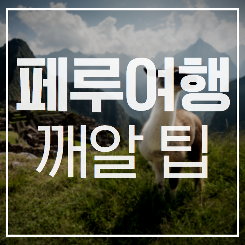 마추픽추패러 이미지