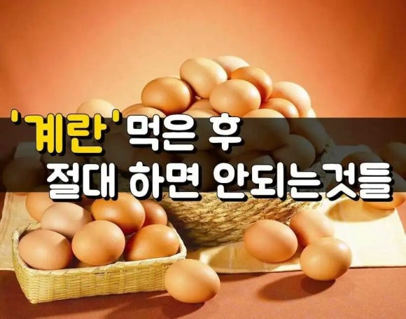 알뜰계란 이미지