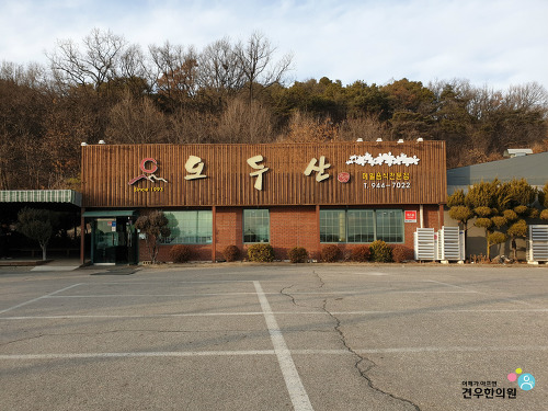 그린막국수 이미지