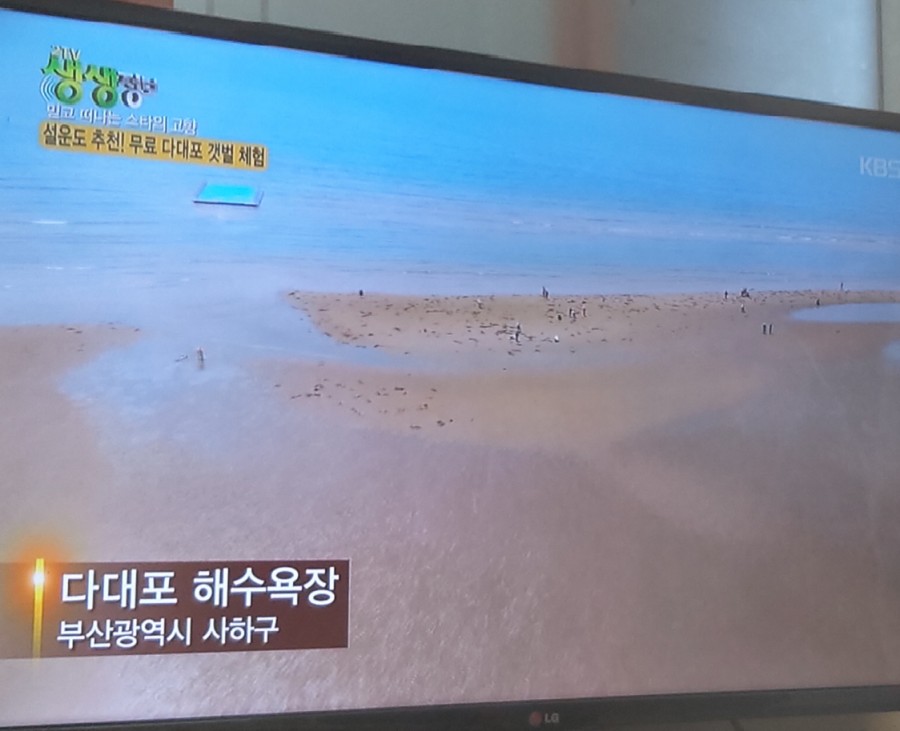 대변 산 곰장어 이미지