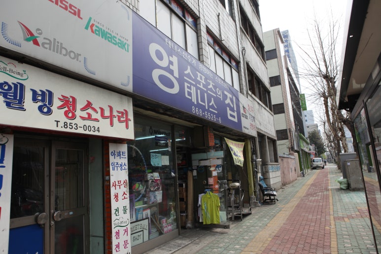 영스포츠 이미지