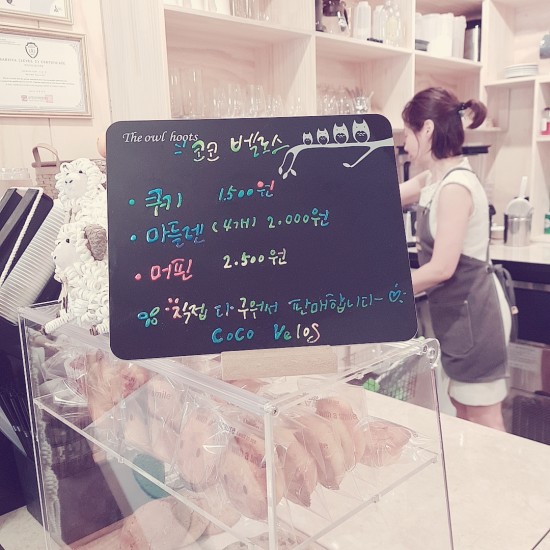 코코벨로스 이미지