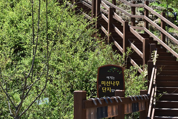 성불산자연휴양림 이미지