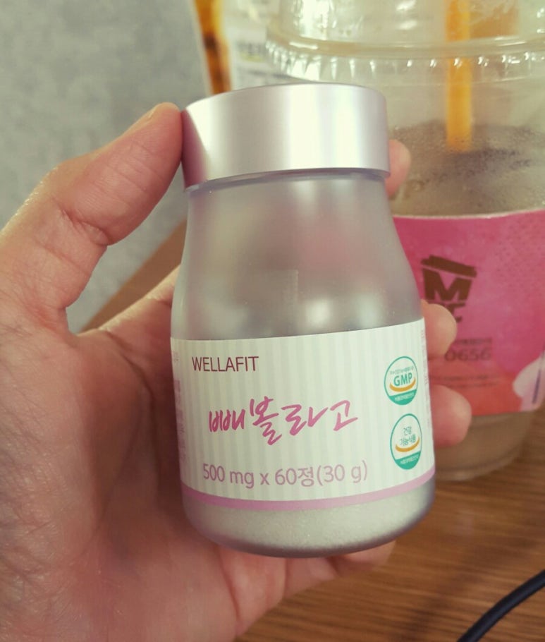 웰라핏 이미지