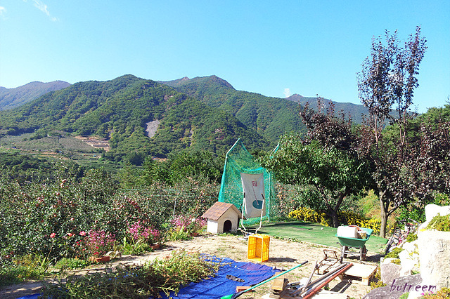 주야네 이미지