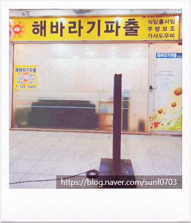 해바라기파출 이미지