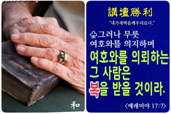 (주)샬롬환경 이미지