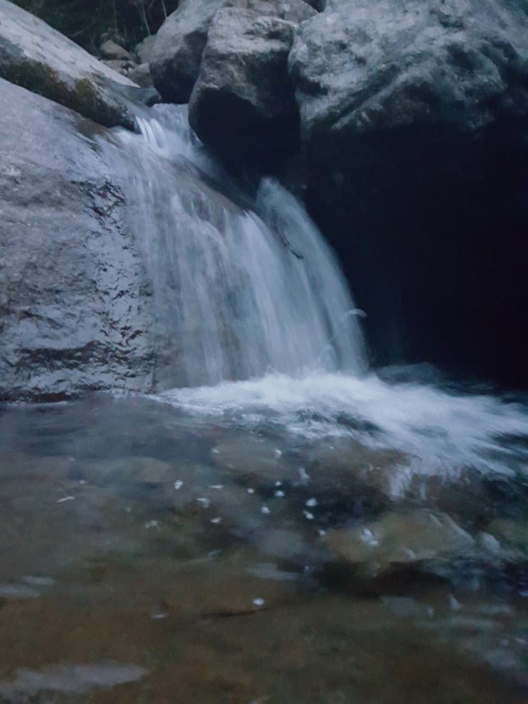 지리산녹차별펜션 이미지