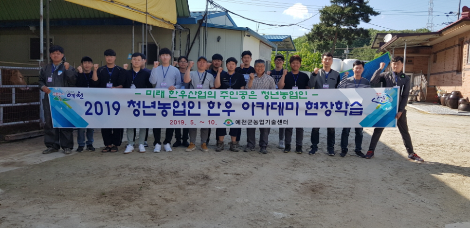 청년한우 이미지