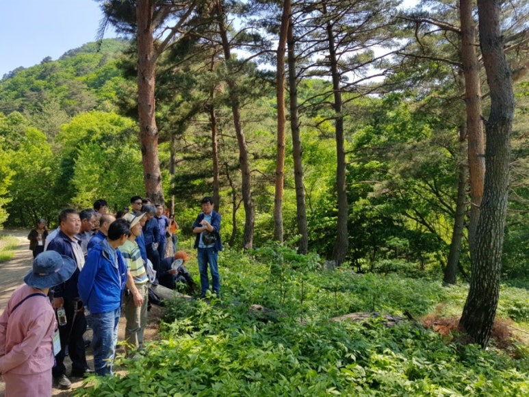 산림조합중앙회임업인종합연수원 이미지