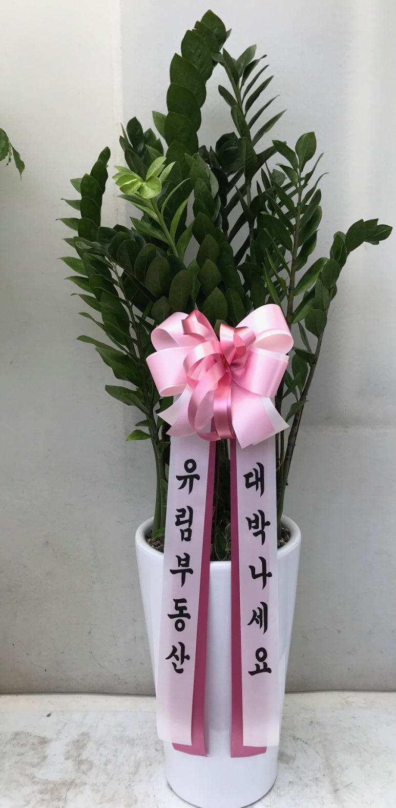디어포레스트 이미지